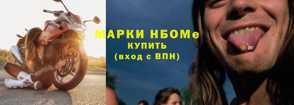 ешки Аркадак
