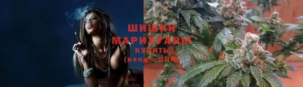 ешки Аркадак