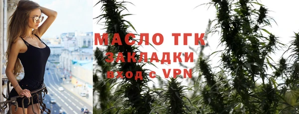хмурый Ельня