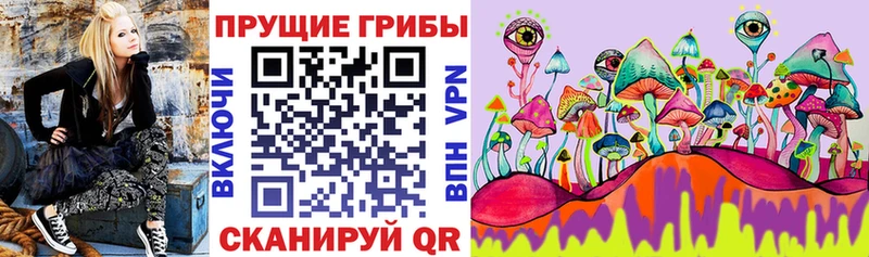 купить наркоту  Полярный  Галлюциногенные грибы MAGIC MUSHROOMS 